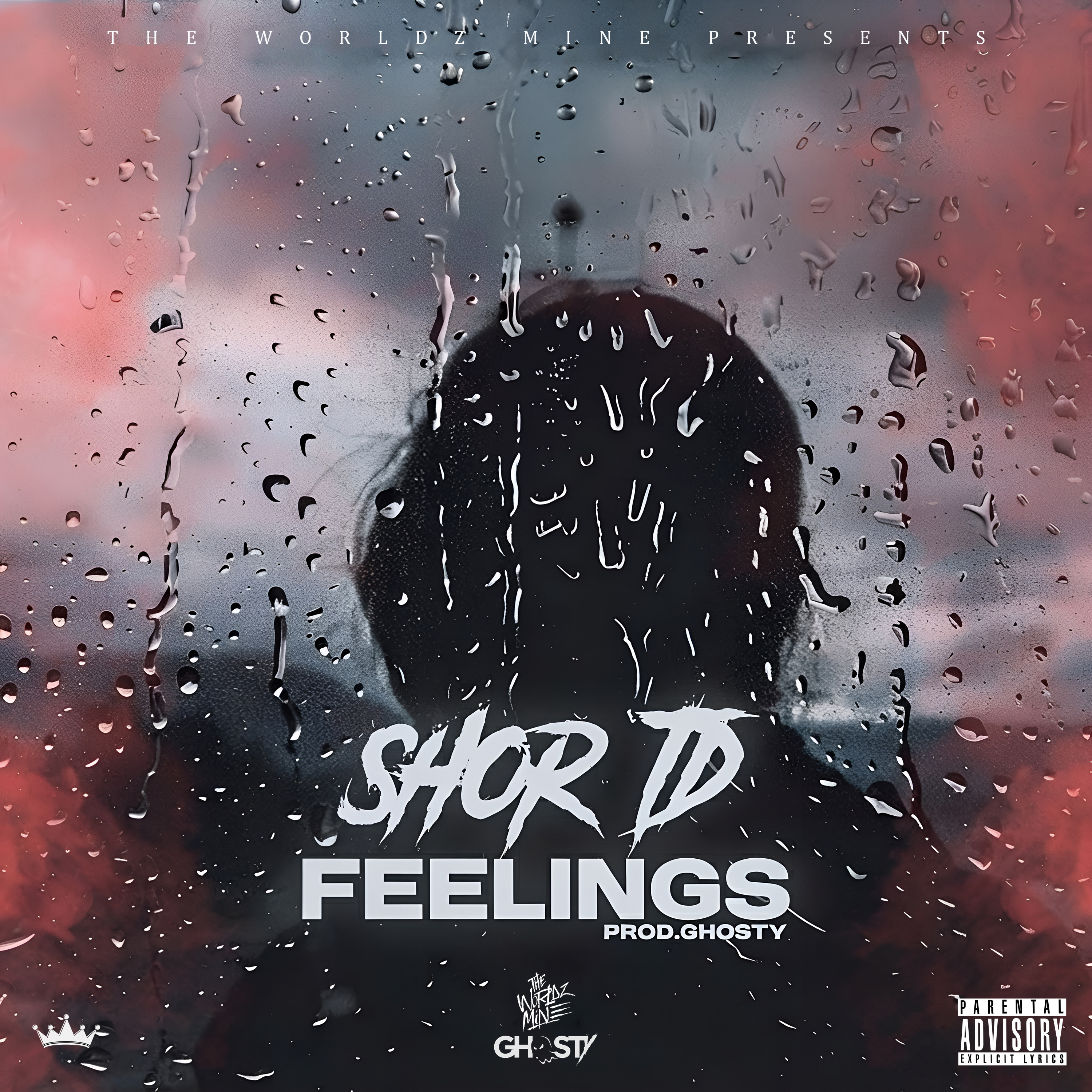 Shor-TD - Feelings